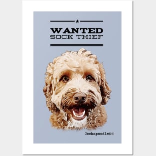 Cockapoo / Doodle Dog Sock Thief Posters and Art